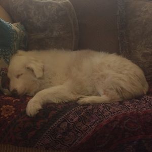 Meet your Posher, Sig